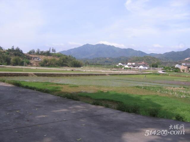 羊石高峰悬画景，龙山鳥语报春来。