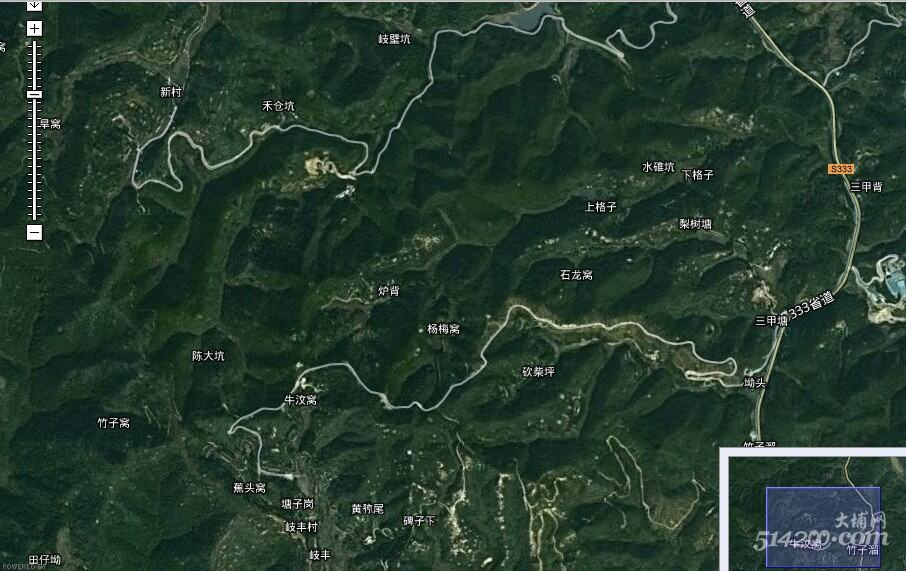 岐丰村卫星地图.jpg