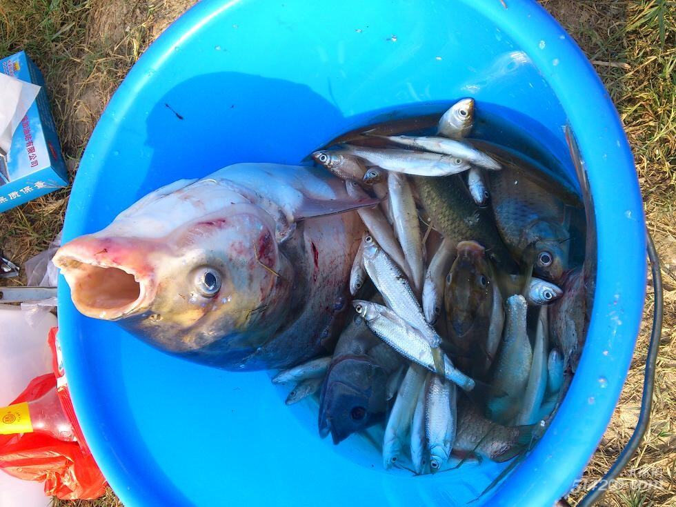 惠州潼湖钓鱼