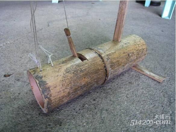 竹筒捕鼠器制作方法