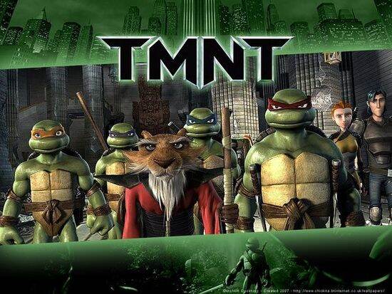 这一版《忍者神龟》首播于2003年2月8日,完结于2009年11月21日,共7季