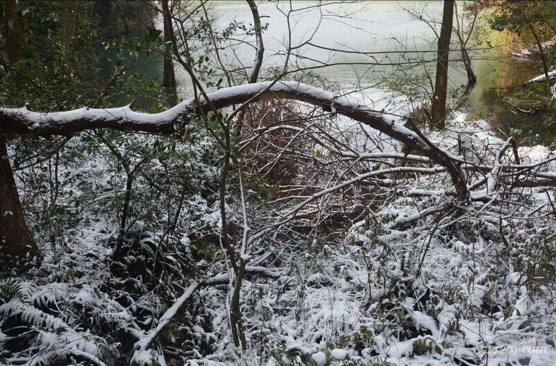 雪景3.jpg