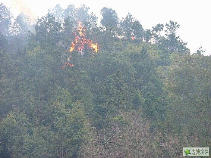 在百侯2005年春节曹鲇的山火