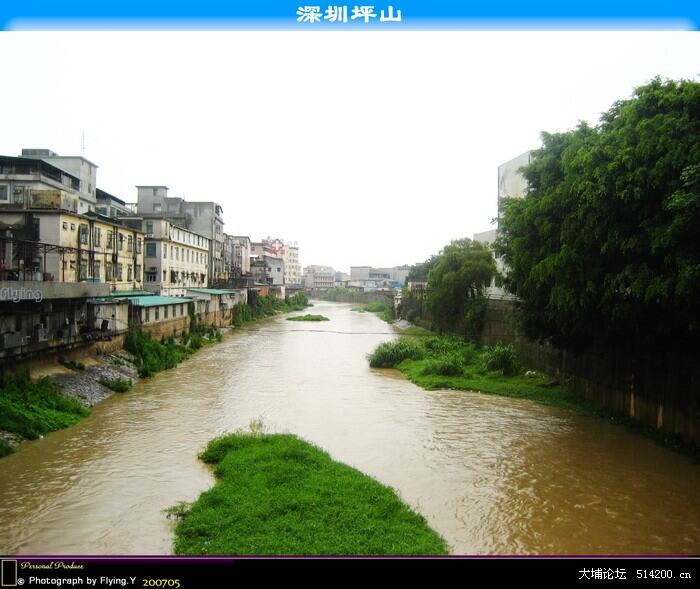 深圳为数不多的河流--坪山河
