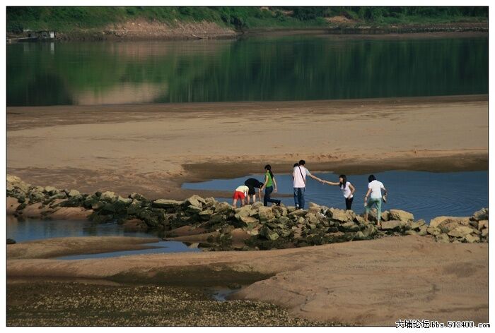 在莲塘见到一群孩子在捡沙蚬