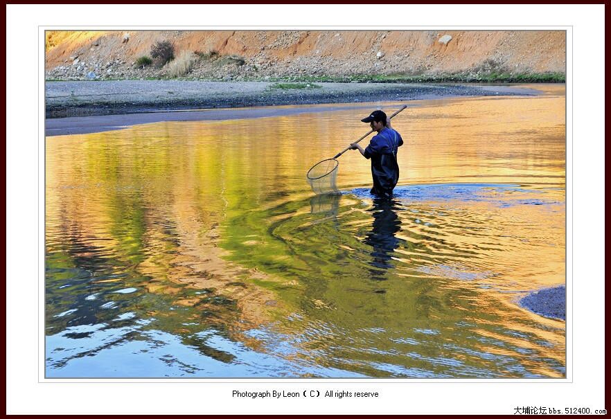 《金光之渔》---杨陶小靖河