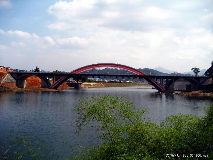 仁和大桥.JPG