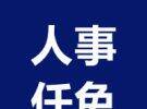 大埔最新人事任免，涉及多名局长、副局长