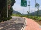 大埔这条公路大变样